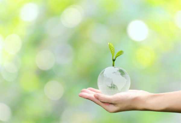 記事サムネイル