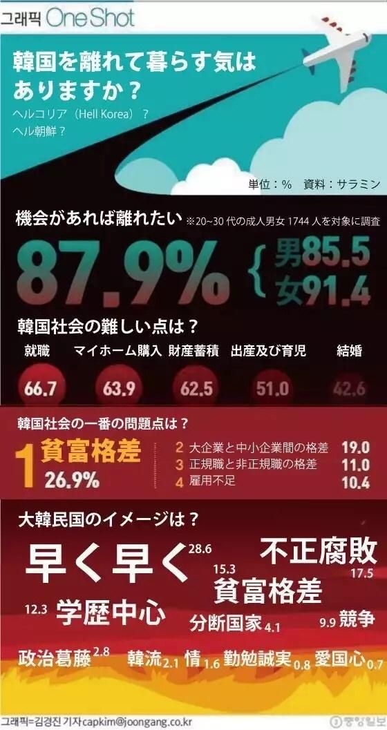 レス31番の画像1