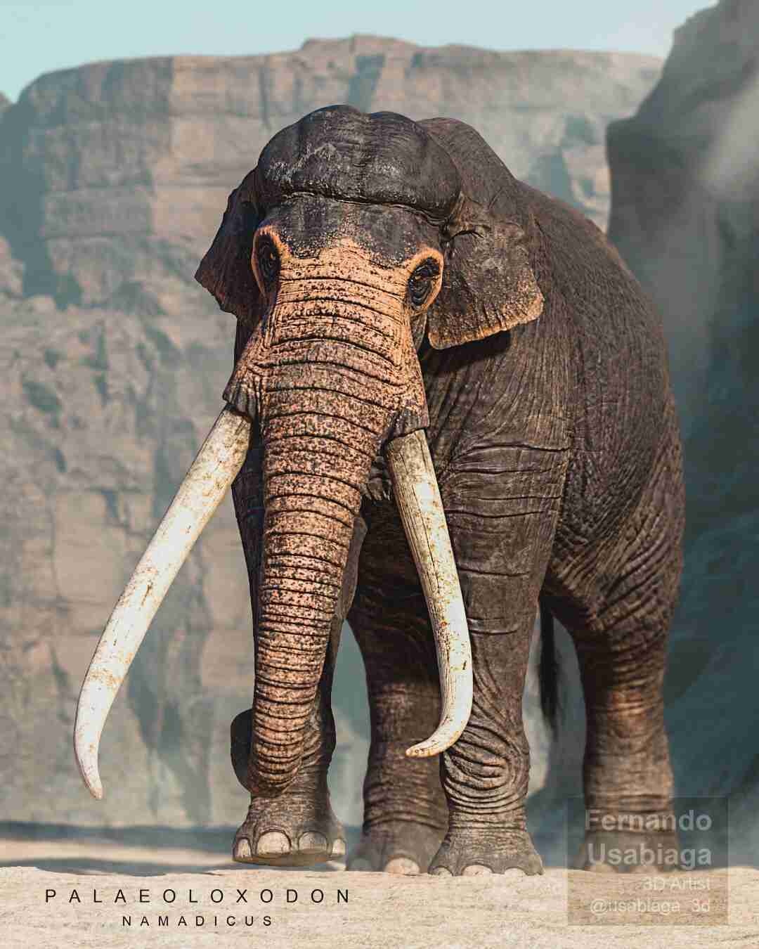 レス7番の画像1