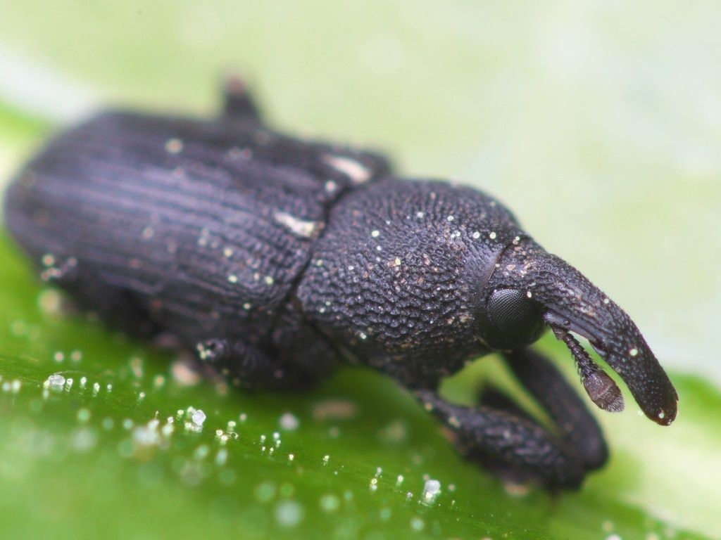 レス7番の画像1