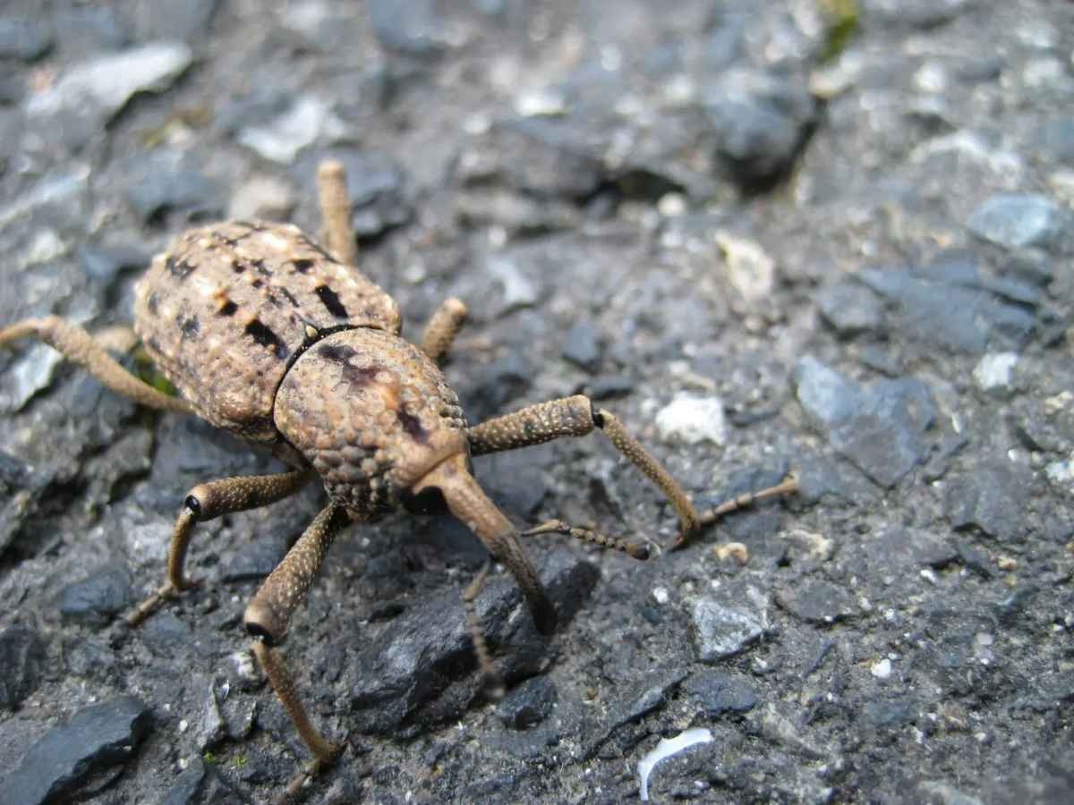 レス6番の画像1