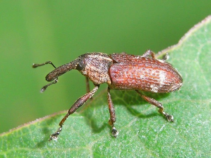 レス4番の画像1