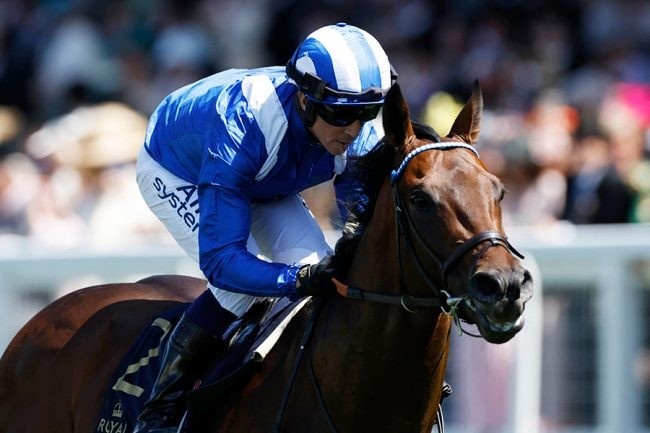 レス12番の画像1