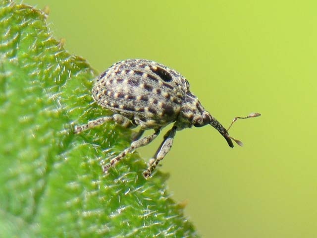 レス3番の画像1