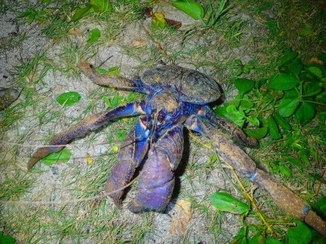 レス19番の画像1