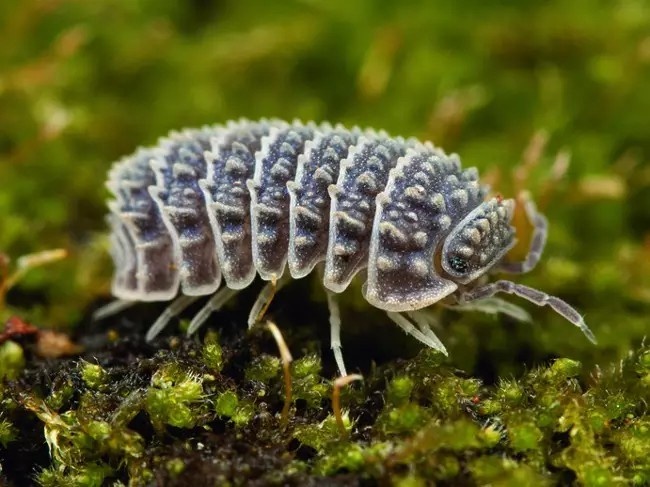 レス9番の画像1