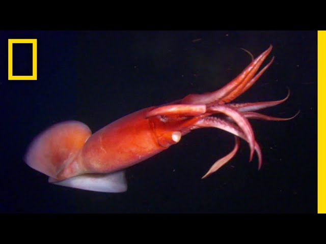 レス10番のサムネイル画像