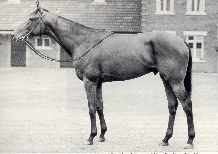 レス4番の画像1