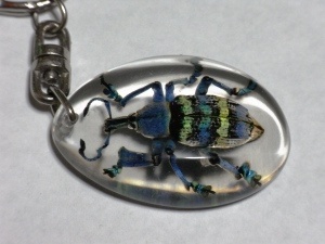 レス1番の画像2