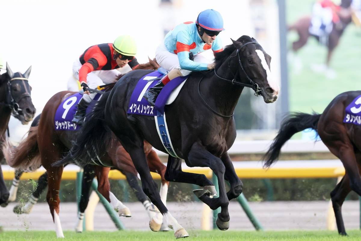 レス9番の画像1