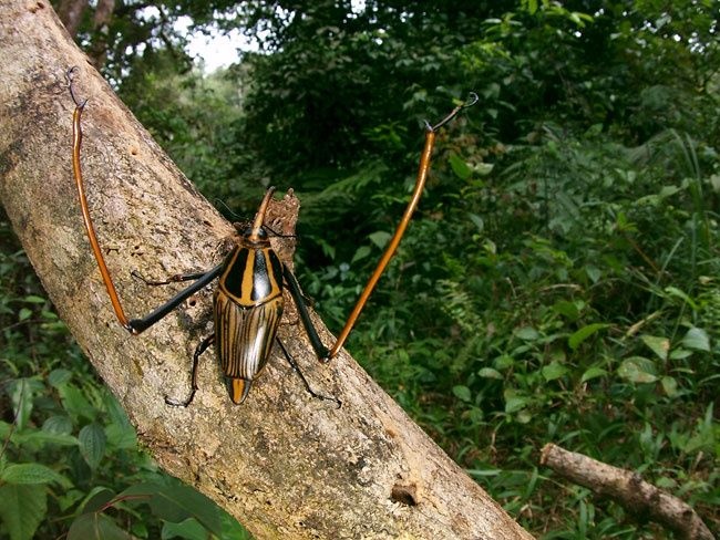 レス8番の画像1