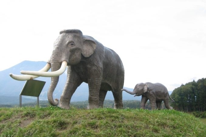 レス3番の画像1