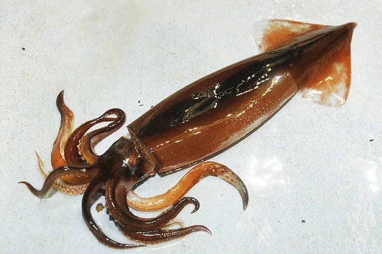 レス2番のサムネイル画像