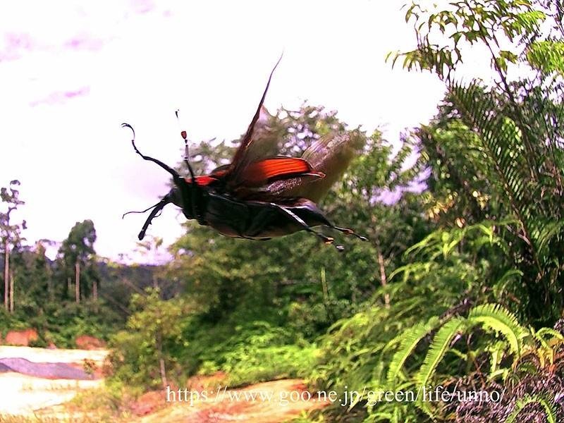 レス16番の画像1