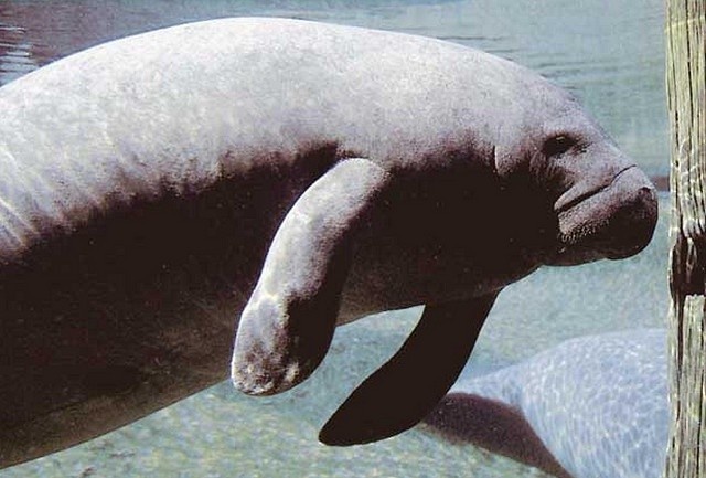 レス8番の画像1