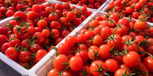 記事サムネイル