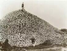 レス6番の画像1