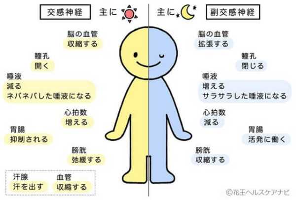 記事サムネイル