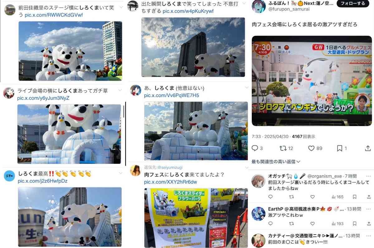 レス12番の画像1