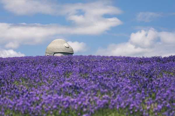 記事サムネイル