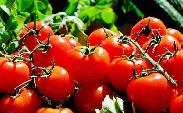 記事サムネイル