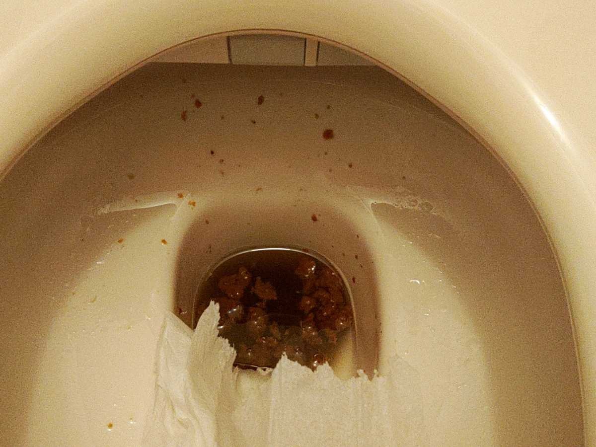 レス13番の画像1