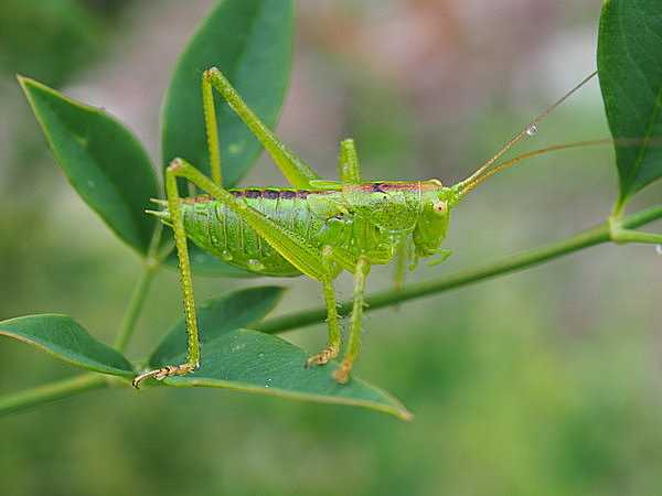 記事サムネイル