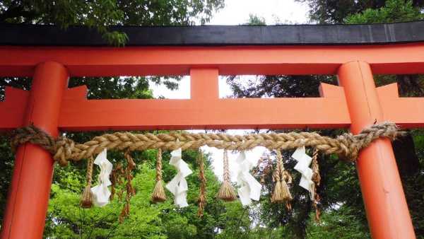 記事サムネイル