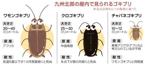 記事サムネイル