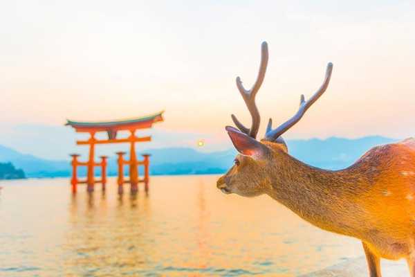 記事サムネイル