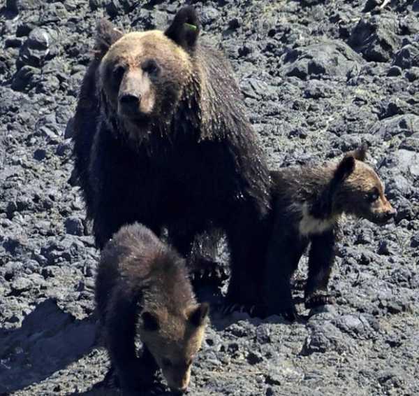 記事サムネイル