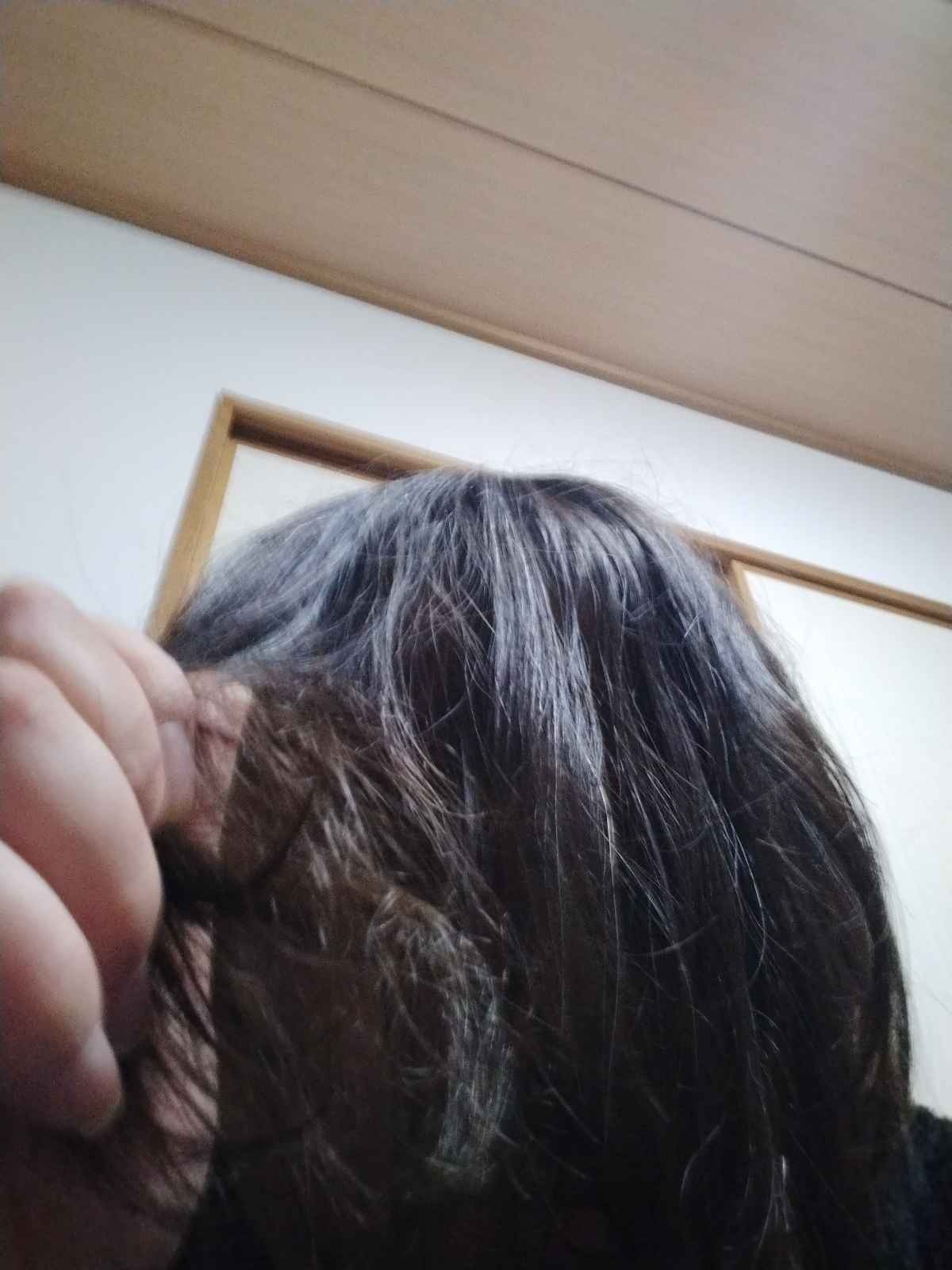 レス15番の画像1