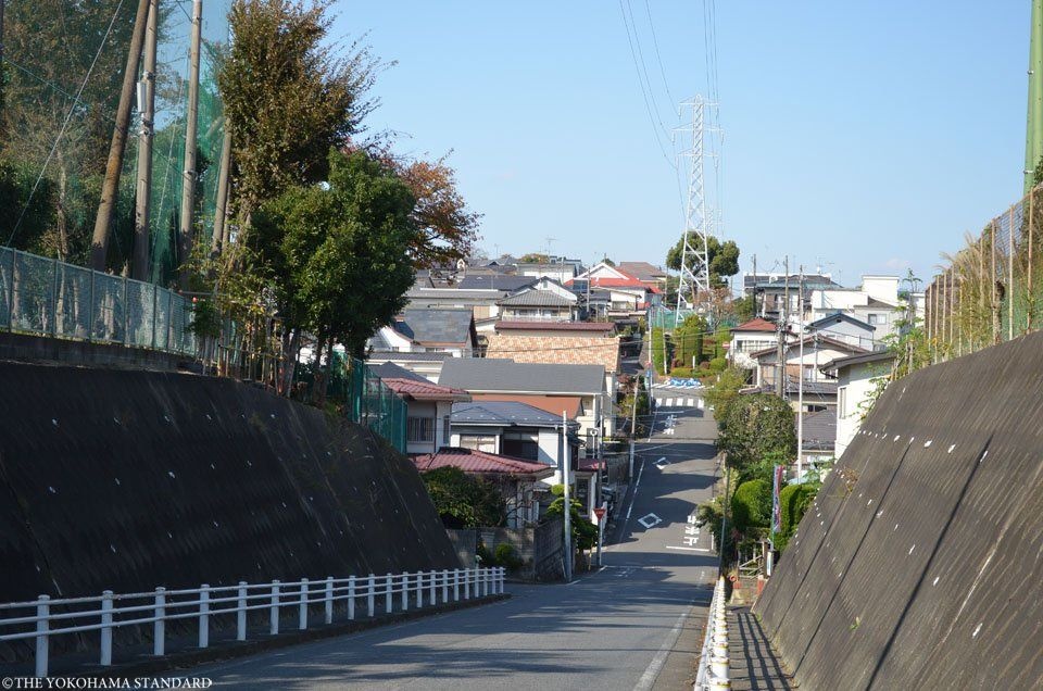 レス34番の画像1