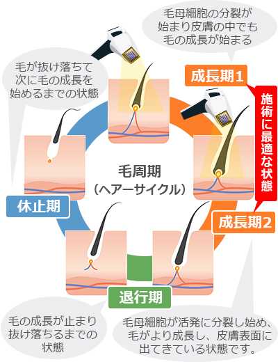 記事サムネイル