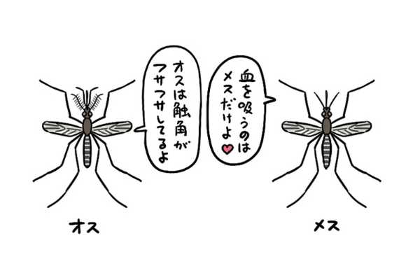 記事サムネイル