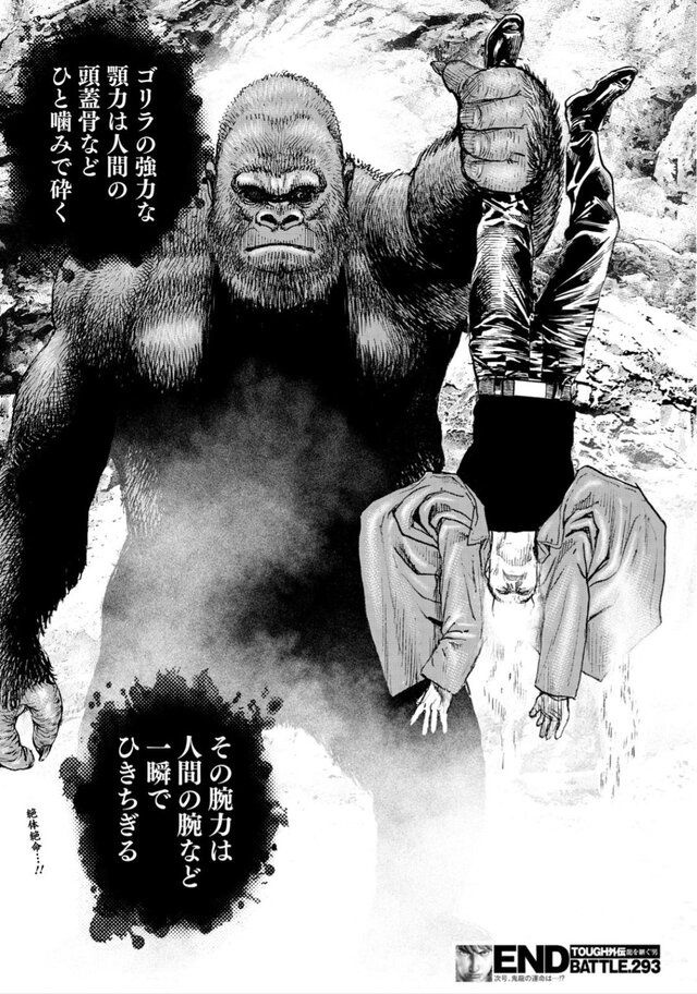 レス9番の画像1