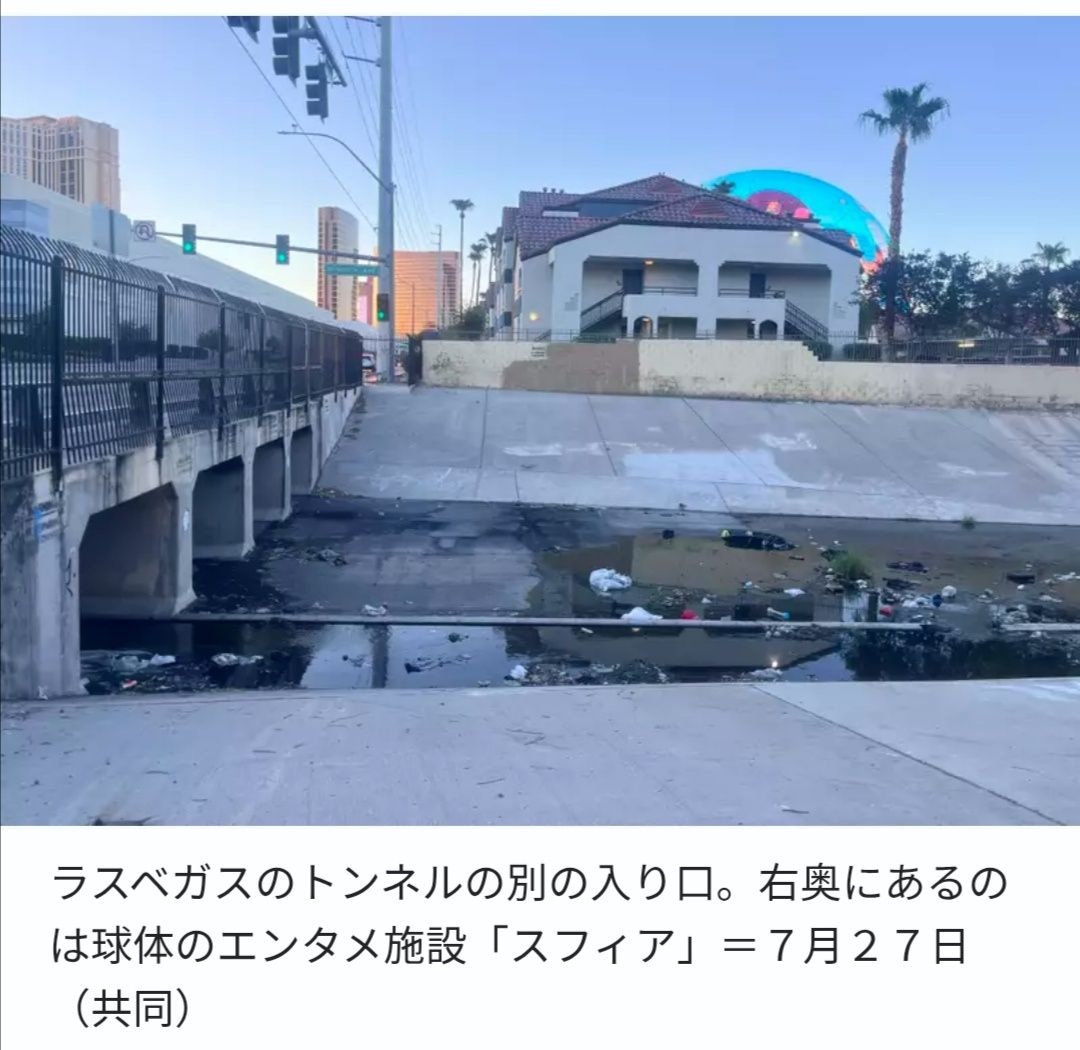 レス22番の画像1