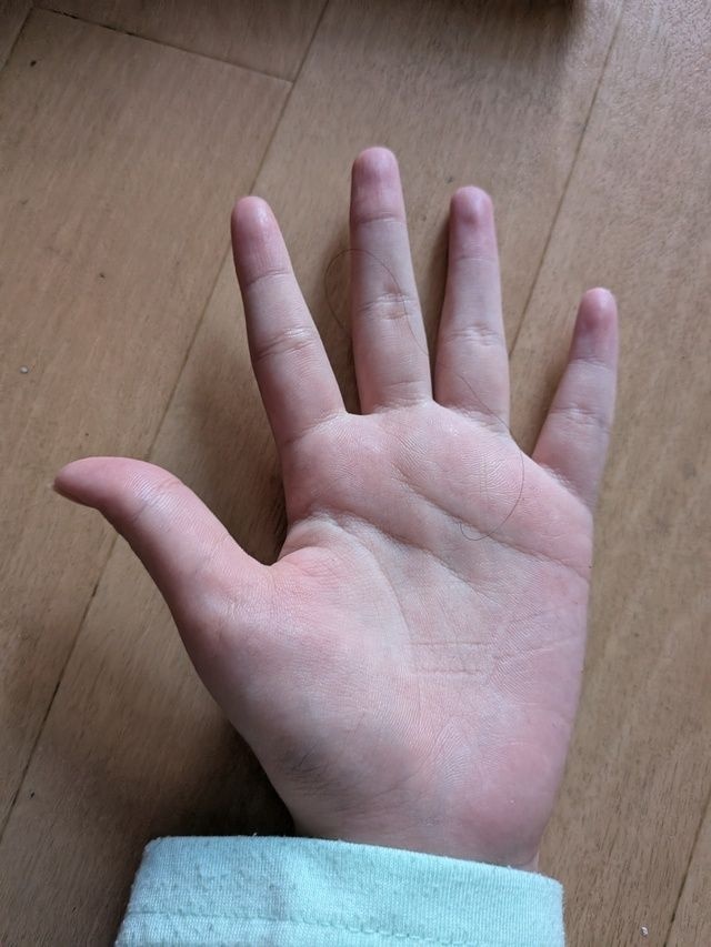 レス31番の画像1